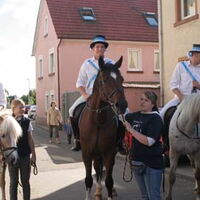 Bild 36