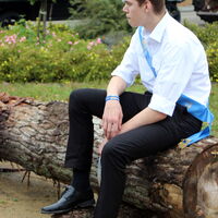 Bild 13