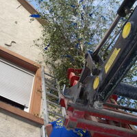 Bild 41