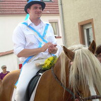 Bild 122