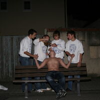 Bild 99