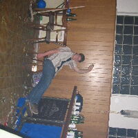 Bild 97