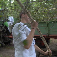 Bild 10