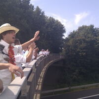 Bild 203