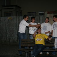 Bild 250