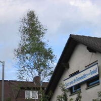 Bild 39