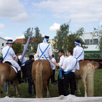 Bild 15