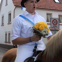 Bild 43