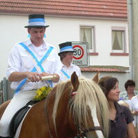 Bild 152
