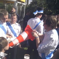 Bild 226