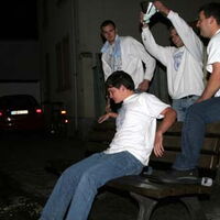 Bild 29