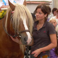 Bild 151