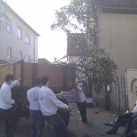 Bild 97
