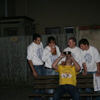 Bild 252