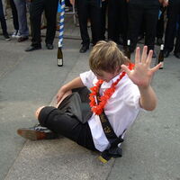 Bild 113