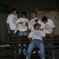 Bild 195