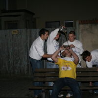 Bild 254