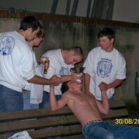Bild 24