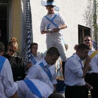 Bild 46