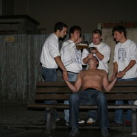 Bild 182