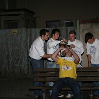 Bild 253