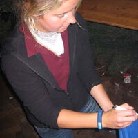Bild 25
