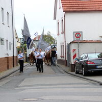 Bild 48