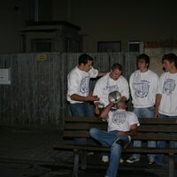 Bild 217