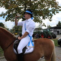 Bild 16