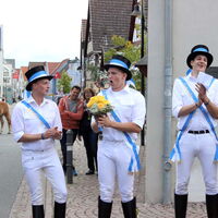 Bild 31