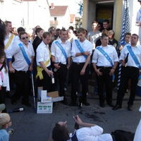 Bild 65