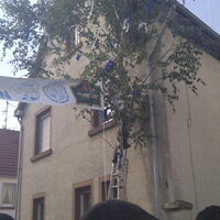 Bild 112