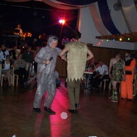 Bild 95