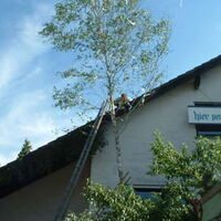 Bild 34