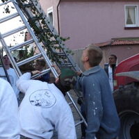 Bild 87