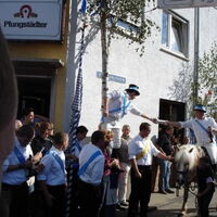 Bild 62
