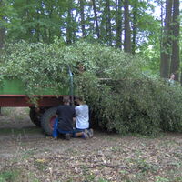 Bild 25