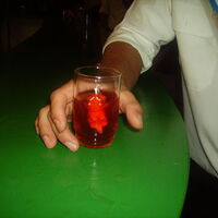 Bild 13
