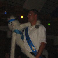 Bild 86