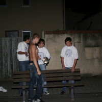 Bild 95