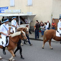 Bild 50
