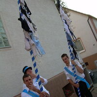 Bild 92