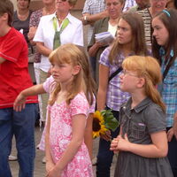 Bild 153