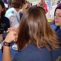 Bild 206