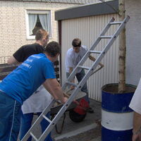 Bild 29