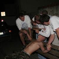 Bild 15