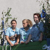 Bild 41