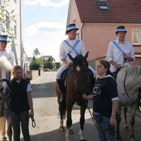 Bild 37