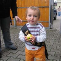Bild 32