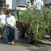 Bild 31